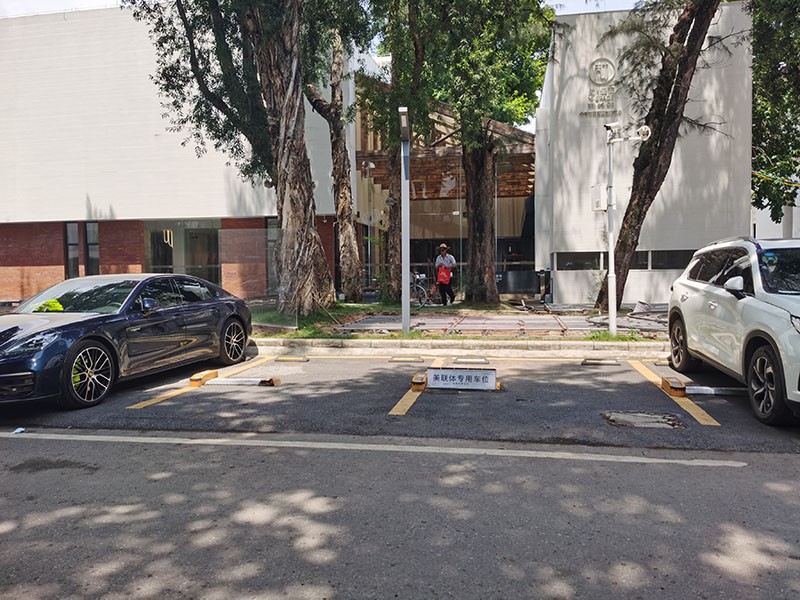 Parking flap lock price