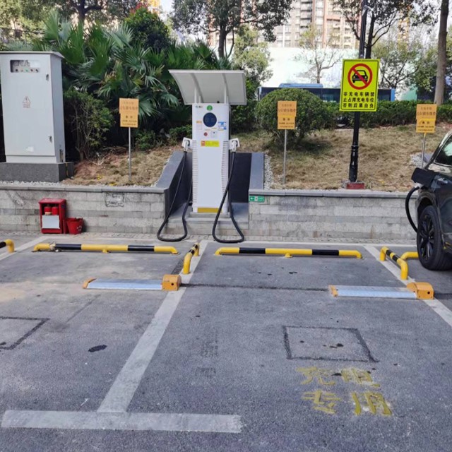 smart parking flap lock