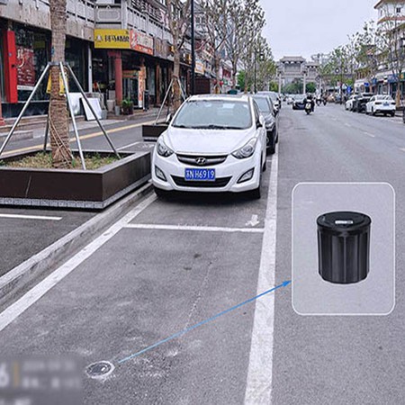 Roadside parking solution