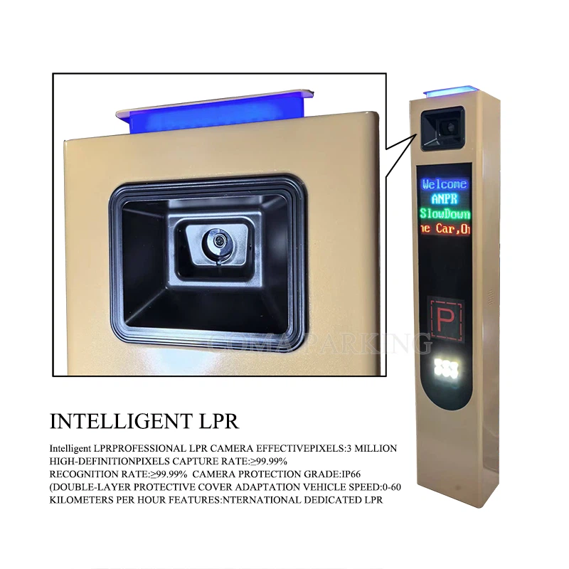 LPR parking system